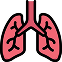 Pulmonology